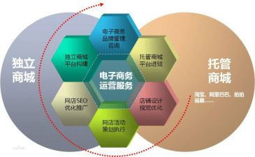 電子商務(wù)客服月總結(jié)與技術(shù)開發(fā)融合實踐六篇