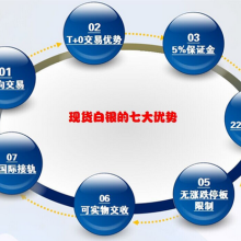 安徽美爾斯特投資 實(shí)業(yè)投資與電子商務(wù)技術(shù)開發(fā)雙輪驅(qū)動