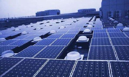 小廠大世界 浙江柳市企業的全球化網絡服務征程